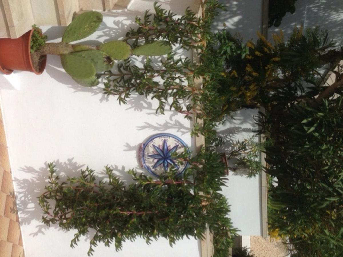 Conti Homes Ponza